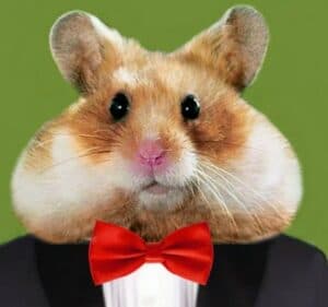 Crypto Hamster