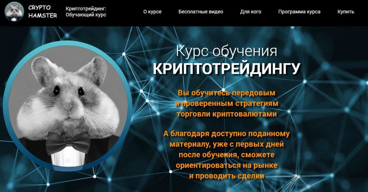 Курс обучения криптотрейдингу Crypto Hamster