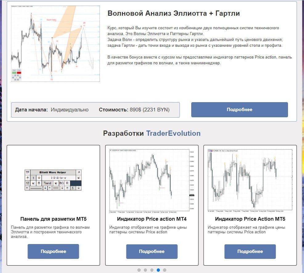 Торговые инструменты Трейдер Эволюшн Андрея Цветкова