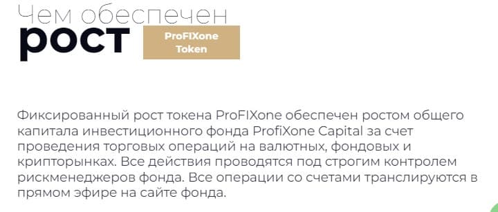 Проект Profixone