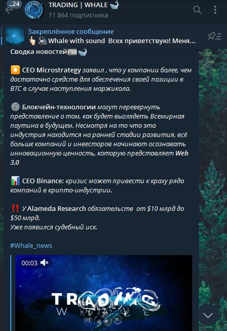 Trading Whale телеграм Владимир Шпиро