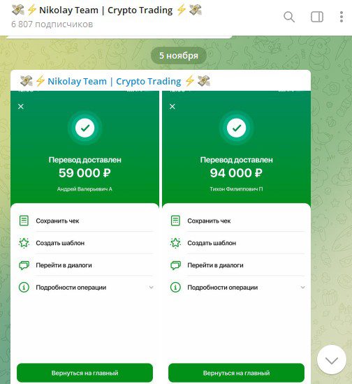 Nikolay Team скрин выплат обман