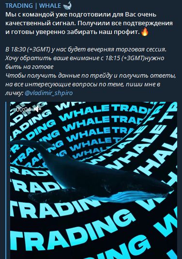 Trading Whale телеграм сигналы