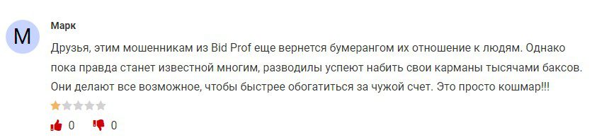 Bid Prof.com отзывы