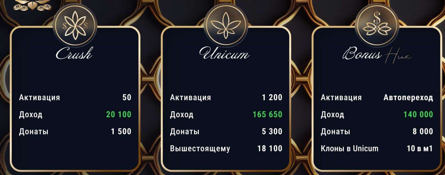 Lotus Money выбор тарифа