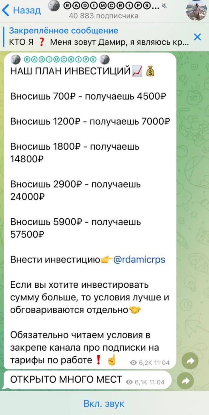 RADIMCRIPS условия инвестирования