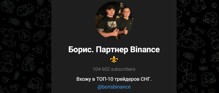 Обзор проекта Борис Партнер Binance