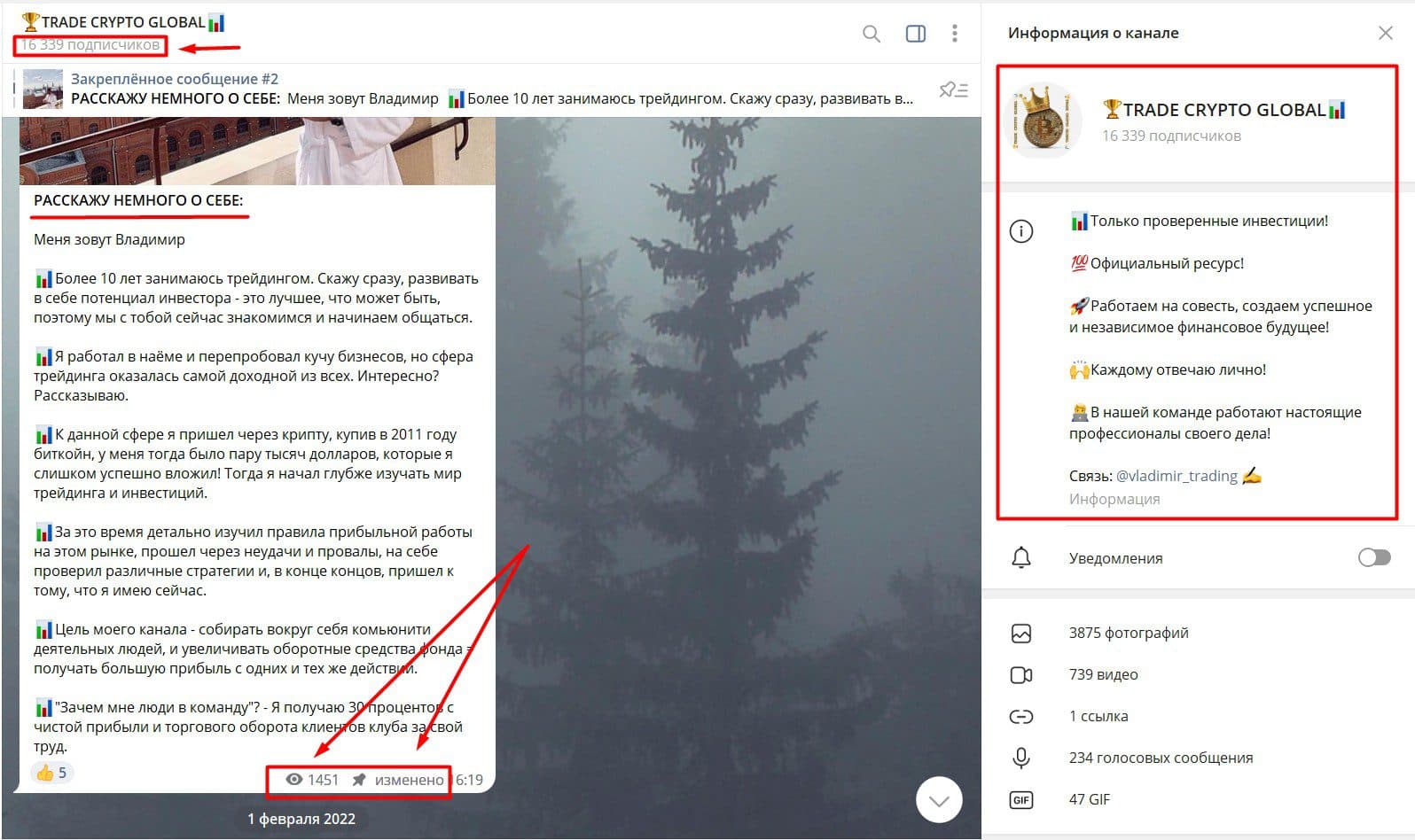 Телеграм проект TRADE CRYPTO GLOBAL трейдер vladimir trading