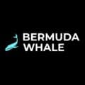 Bermuda Whale