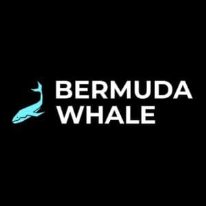 Bermuda Whale