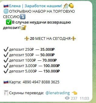 Елена Заработок нашим условия проекта