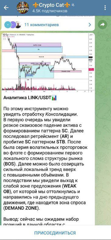 Крипто Кэт обзор проекта