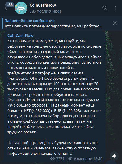 CoinCashFlow телеграм проект