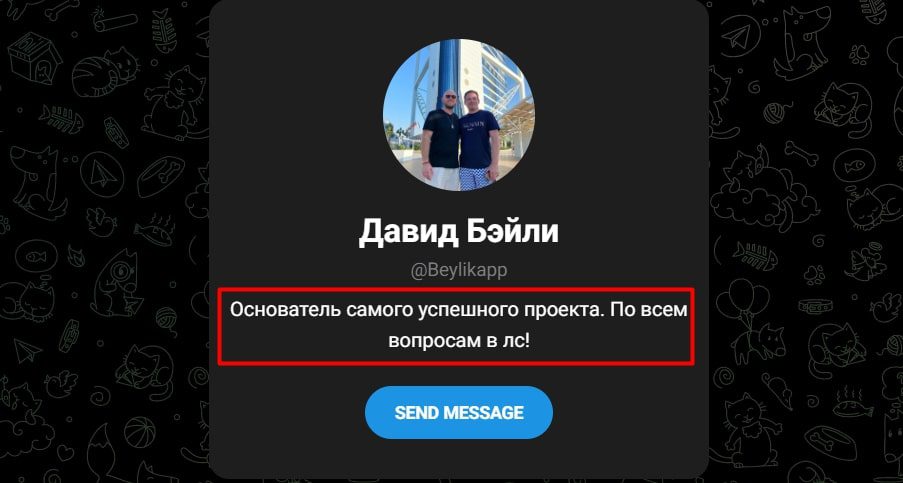 Beylikapp телеграмм