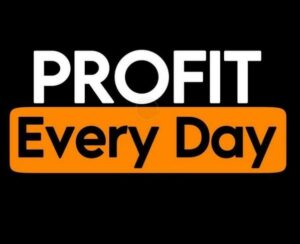 PROFIT Every Day