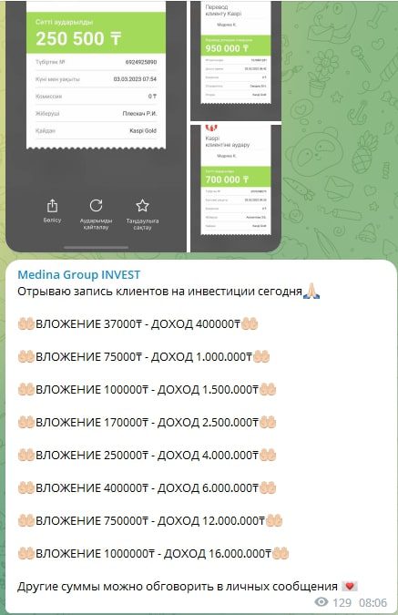 Medina Group INVEST доход