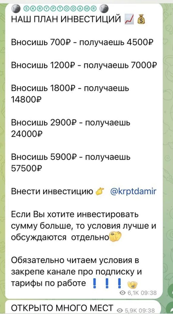 Skryptodamr прибыль