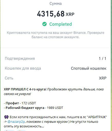 Обзор Телеграмм канала RichBear