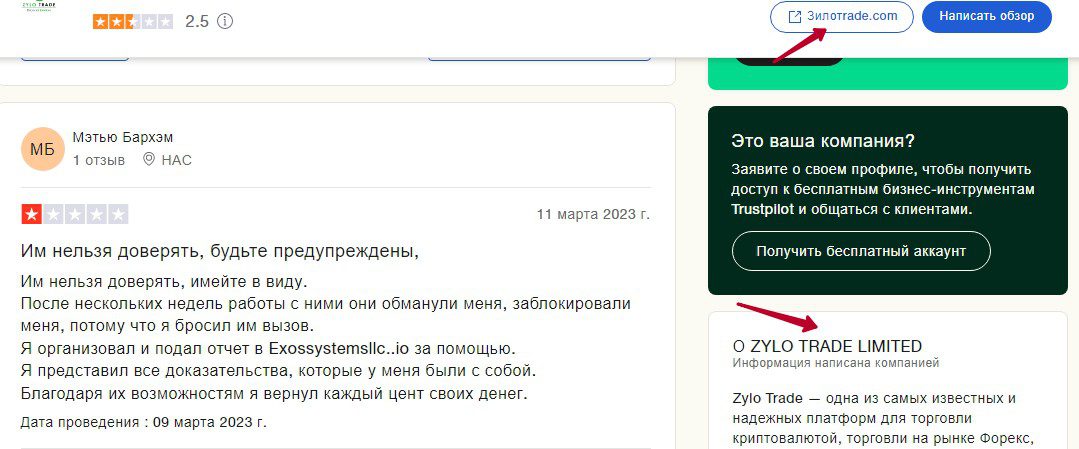 Zylo Trade отзывы