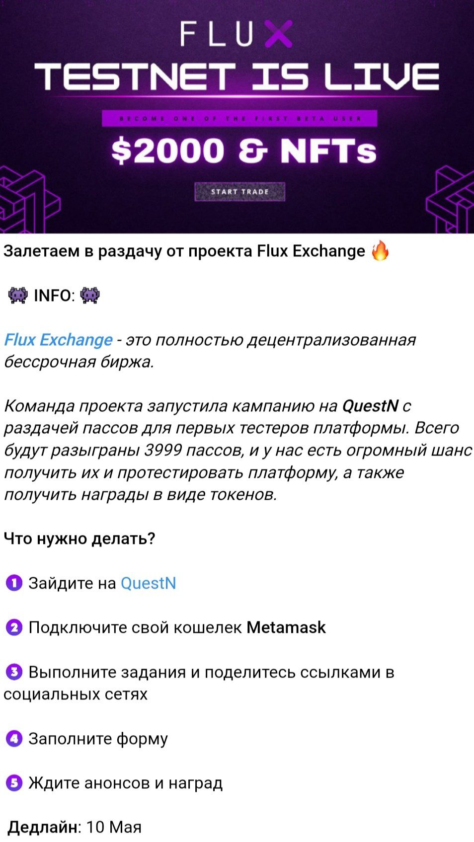 Проект CryptoBunnyF