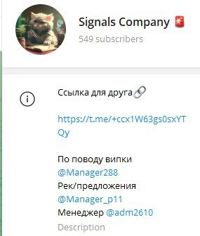 Signals Company телеграм