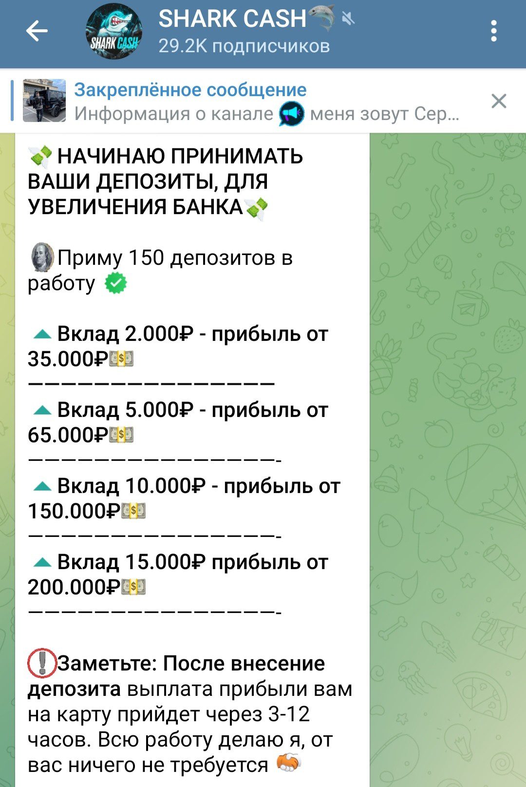 Shark Cash условия инвестирования