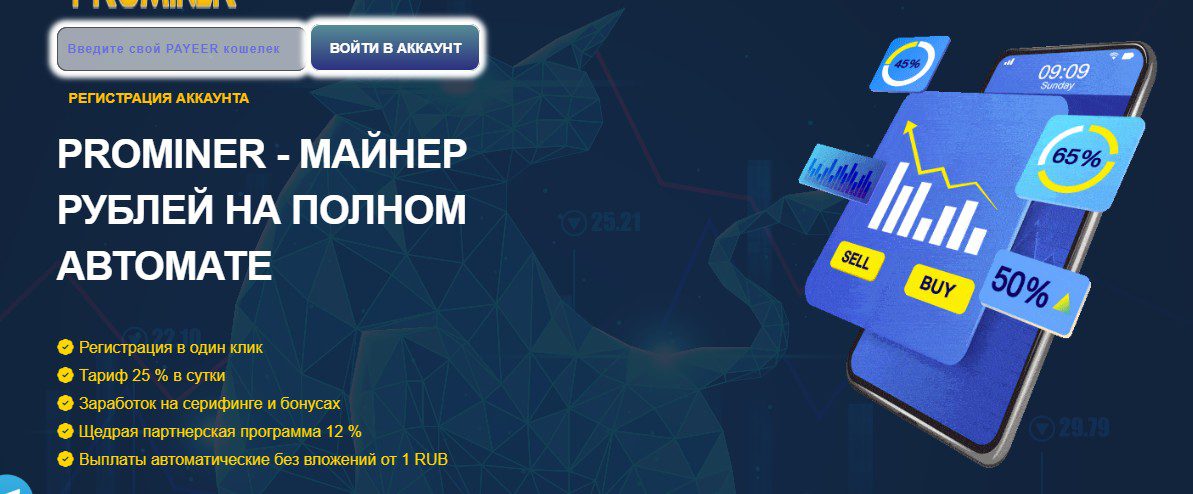 prominer обзор компании