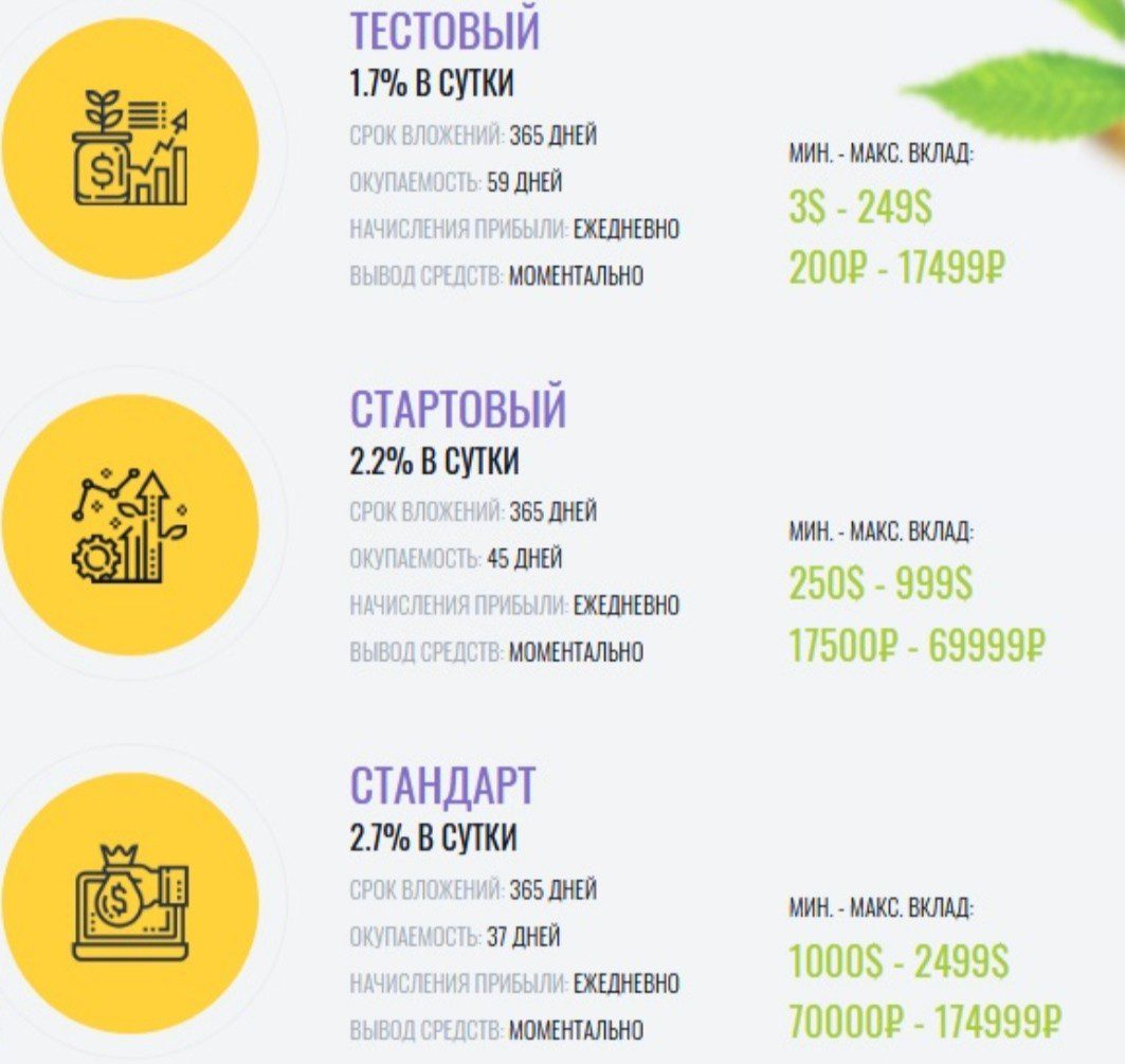 Next Invest обзор