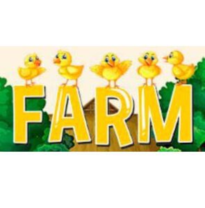 Chickens Farm