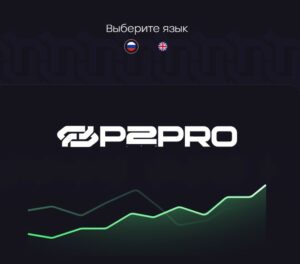 P2PRO компания