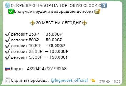 Biginvest official прибыль