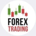 Bitforex телеграмм