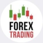 Bitforex телеграмм