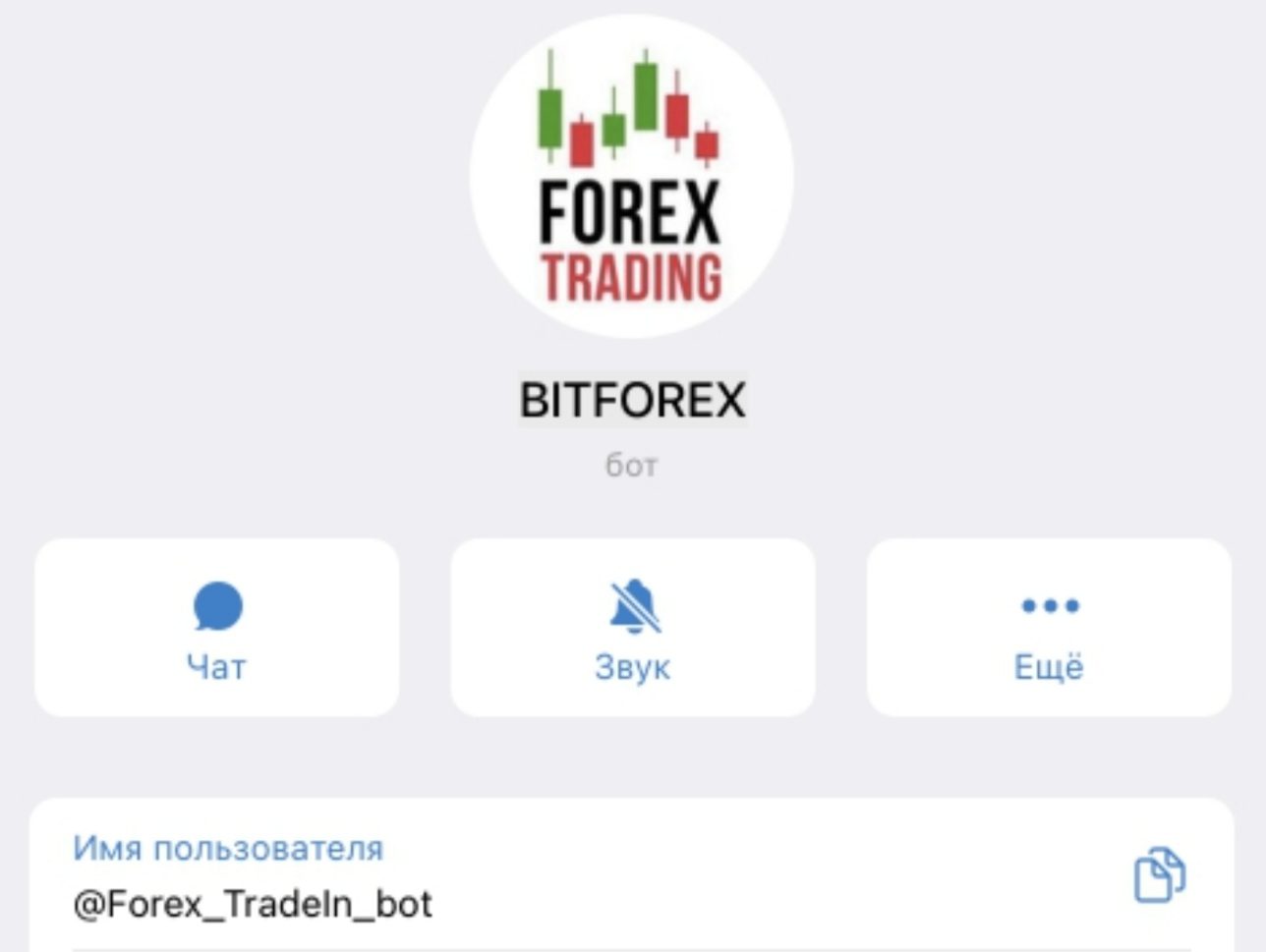 Bitforex телеграмм