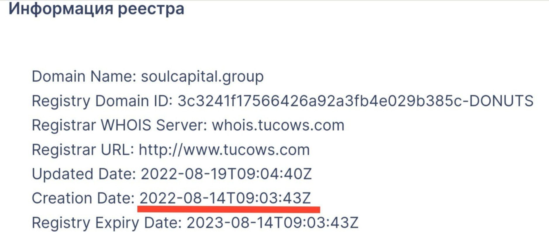 Soul Capital Group сайт домен