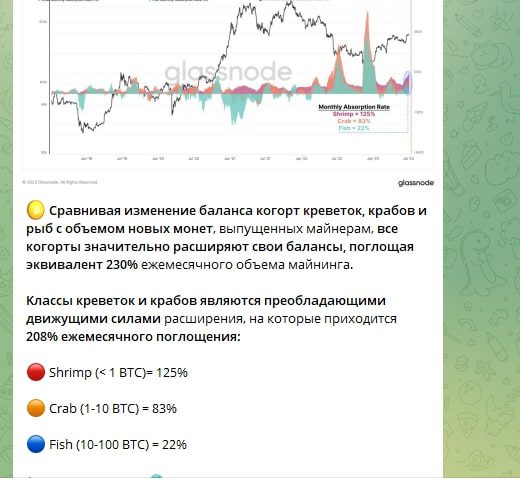 Криптономика Евгений Май телеграмм