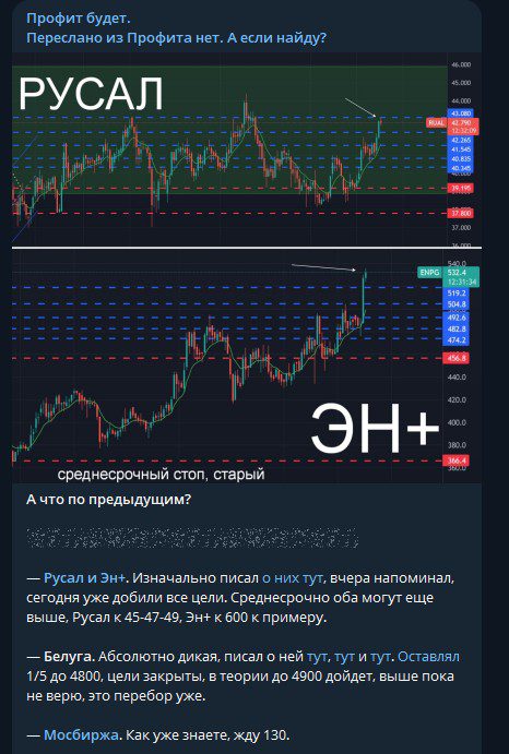 Profitanetschool проект