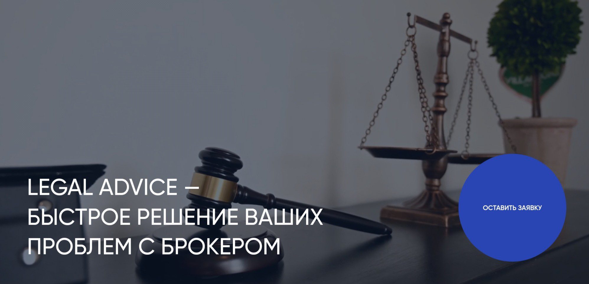 Legal Advice обзор проекта