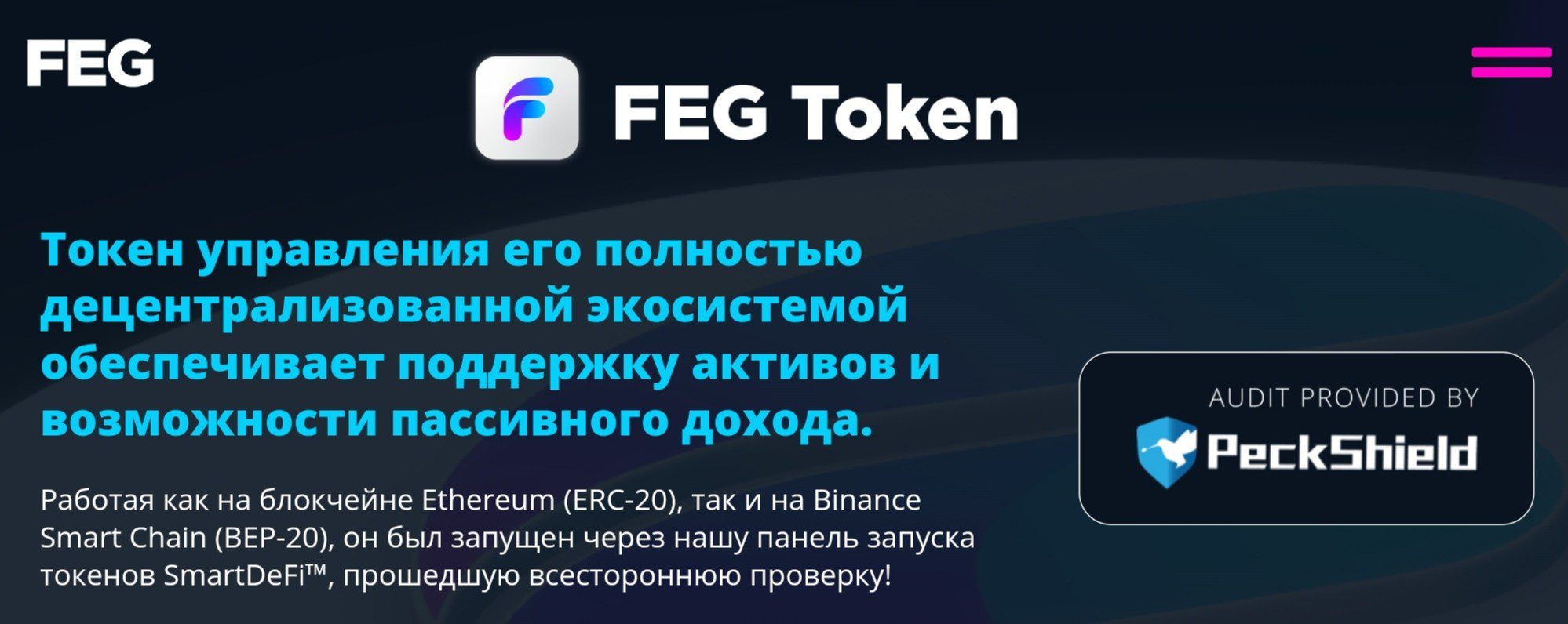 FEG обзор проекта