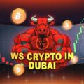 Ws Crypto In Dubai