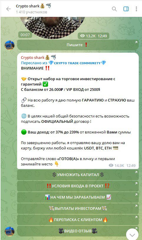 crypto shark телеграмм