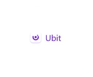 Ubit проект