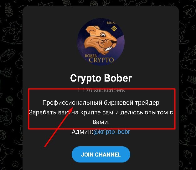 Crypto bober телеграмм