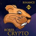 Crypto bober