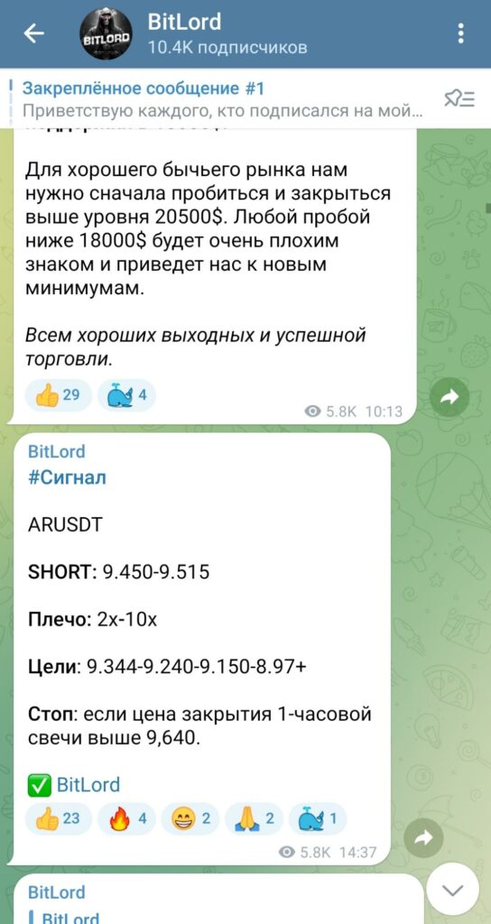 bitlord посты