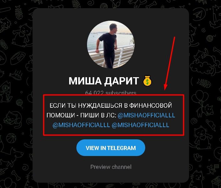 mishaofficialll группа