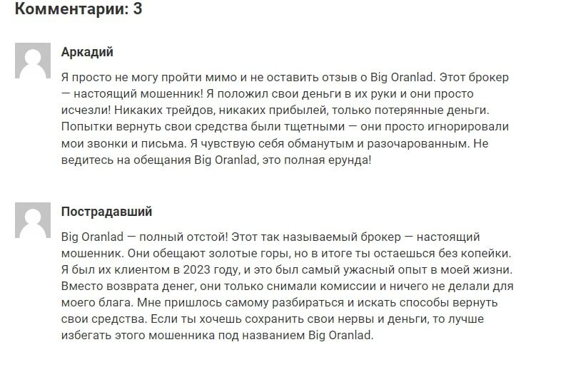 Big Oranlad ОТЗЫВЫ1