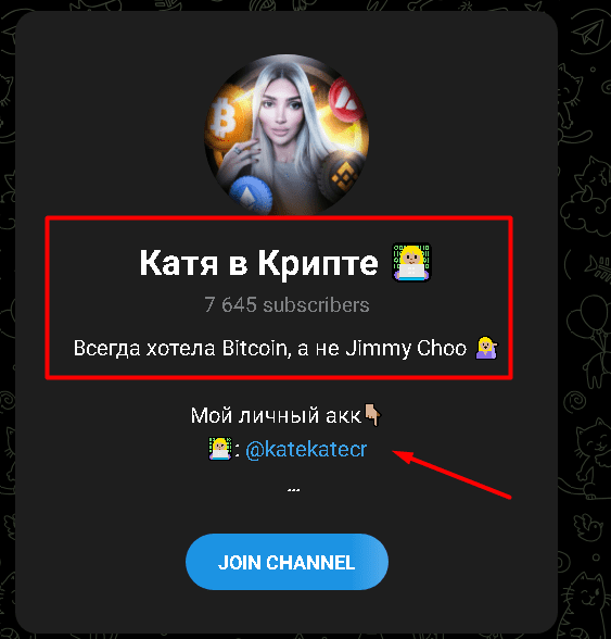 Катя в крипте канал