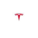 Tesla Stock Shares