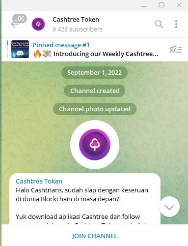 CashTree канал